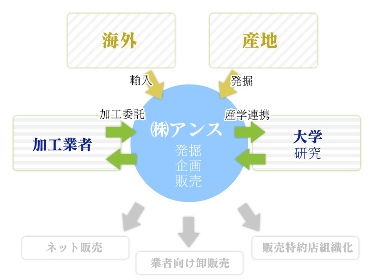 事業展開