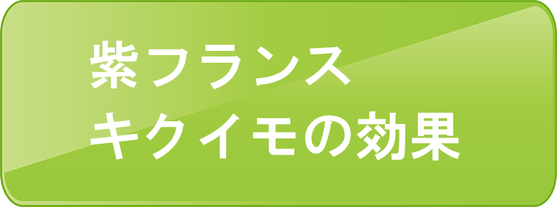 フランスキクイモ キクイモとは 販売元 株式会社アンス